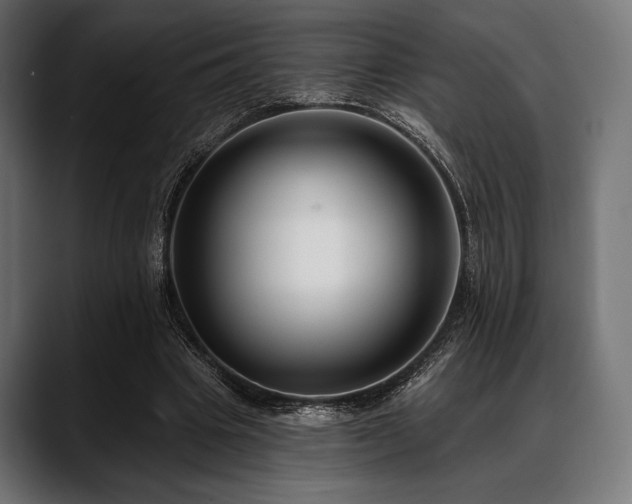 X0000088610441200705251224