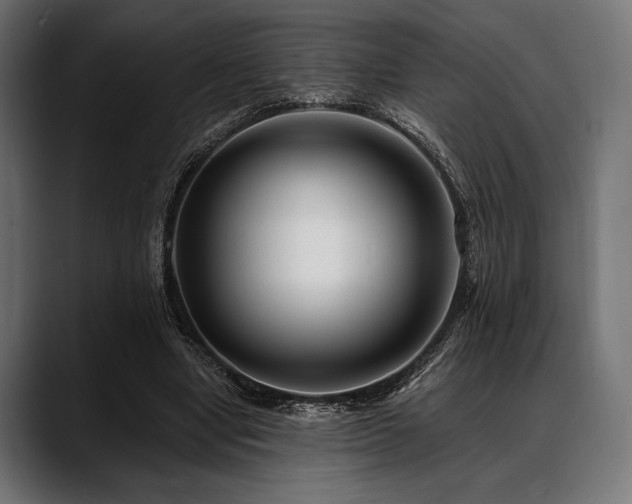 X0000088610442200705251224