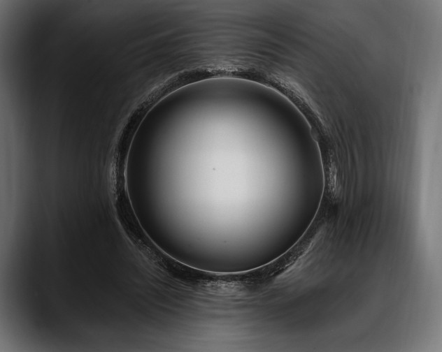 X0000088610444200705251224