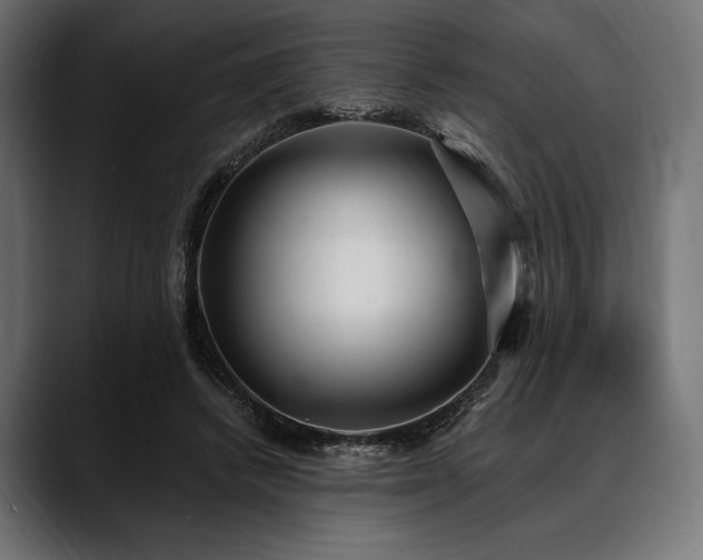 X0000088610448200705251224