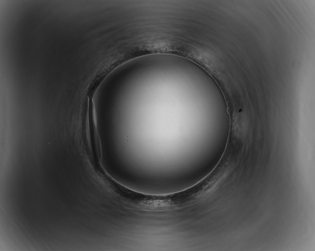 X0000088610449200705251224