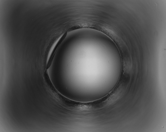 X0000088610453200705251224