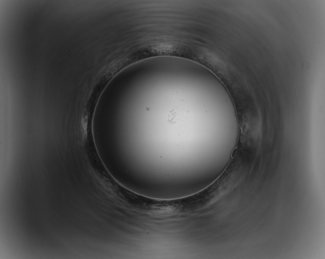 X0000088610454200705251224