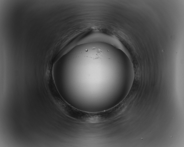 X0000088610456200705251224