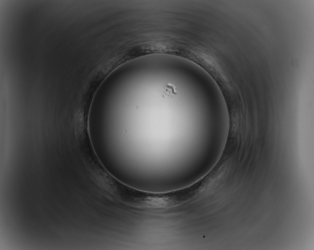 X0000088610457200705251224