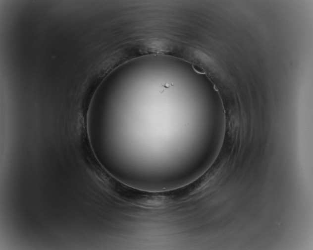 X0000088610459200705251224