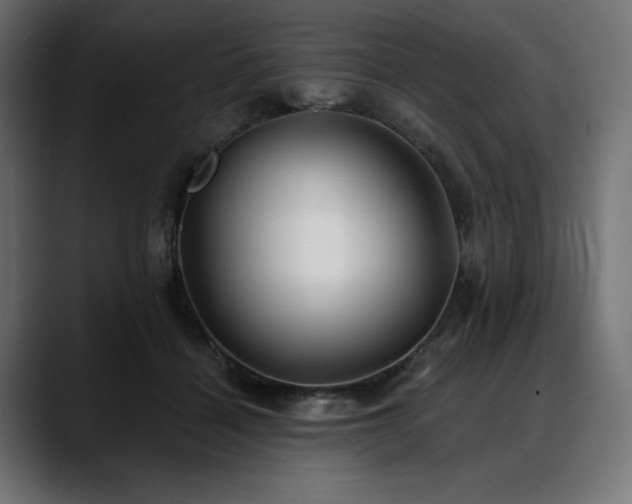 X0000088610460200705251224