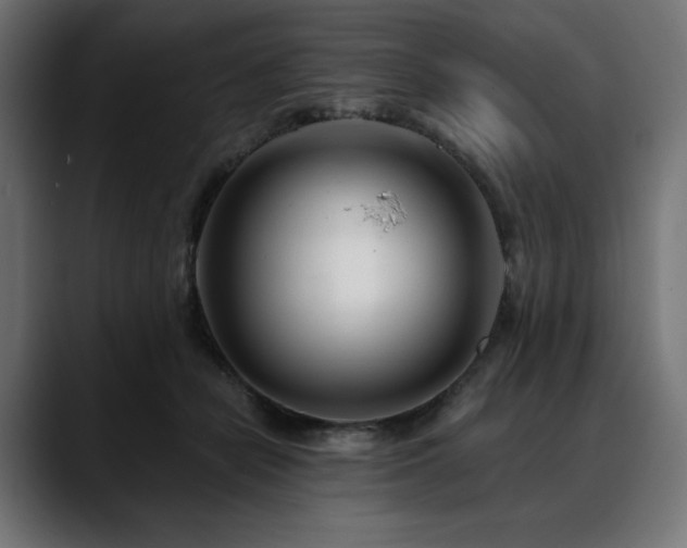 X0000088610462200705251224