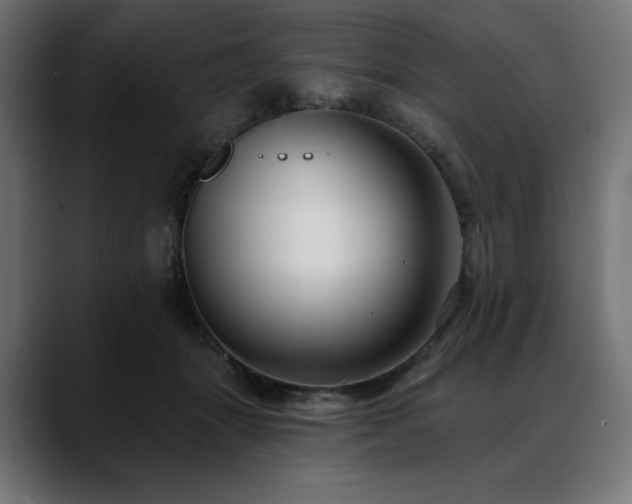 X0000088610463200705251224