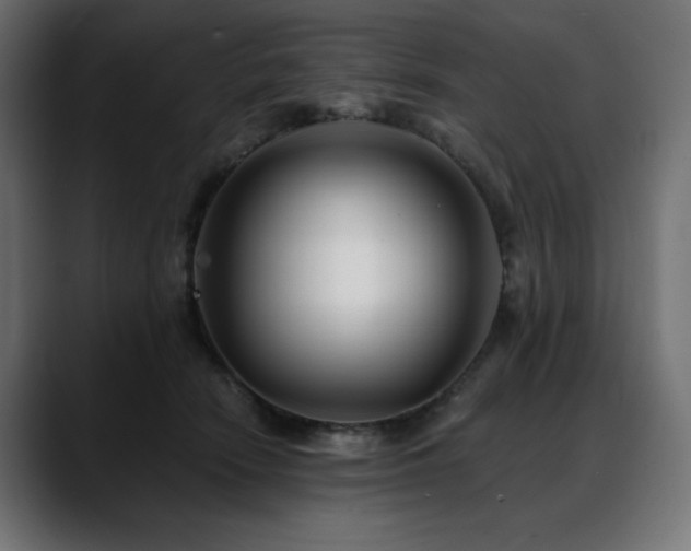 X0000088610466200705251224