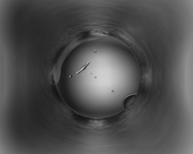 X0000088610469200705251224