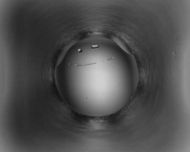 X0000088610470200705251224