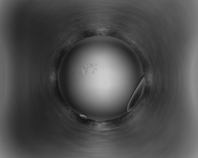 X0000088610472200705251224