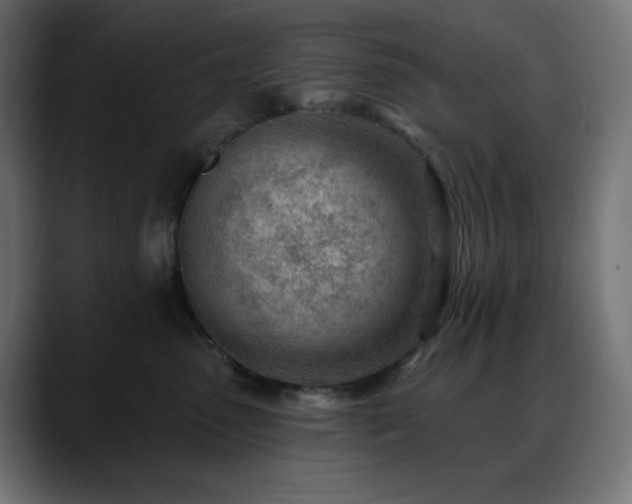 X0000088610475200705251224