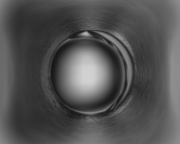 X0000088610481200705251224