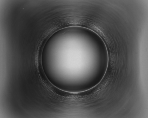 X0000088610482200705251224