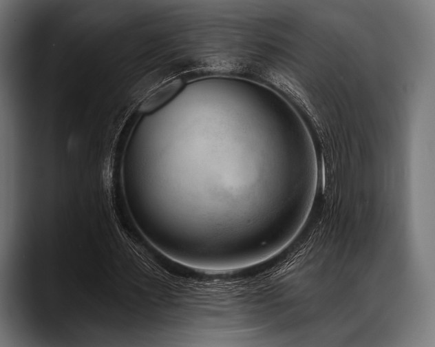 X0000088610483200705251224