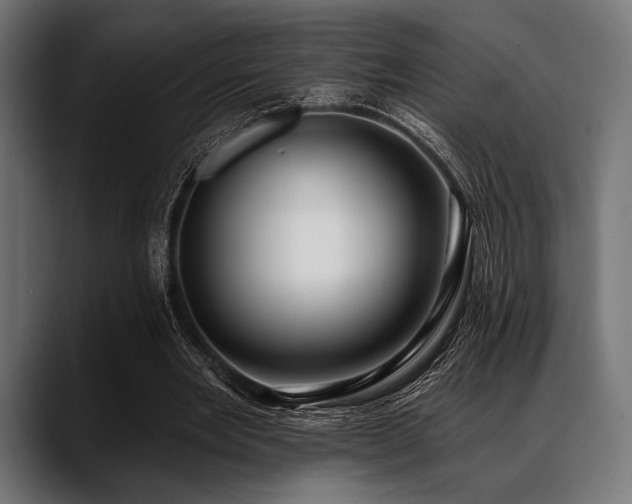 X0000088610485200705251224