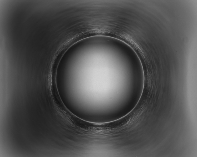 X0000088610486200705251224