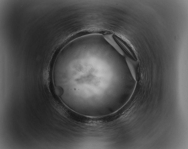 X0000088610487200705251224