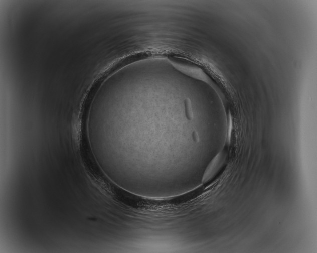 X0000088610488200705251224