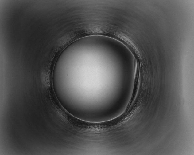 X0000088610489200705251224