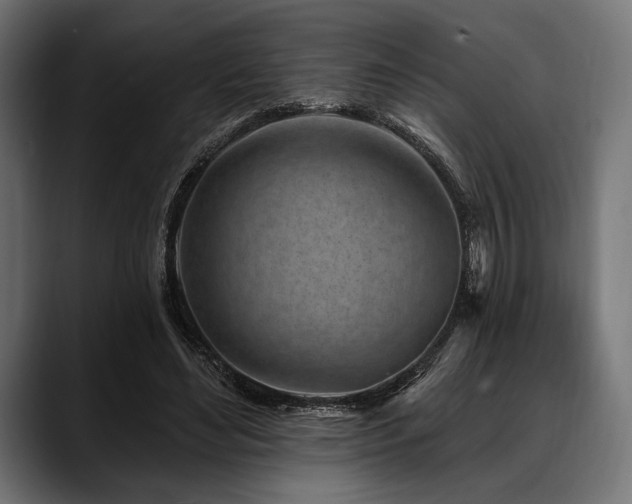 X0000088610492200705251224