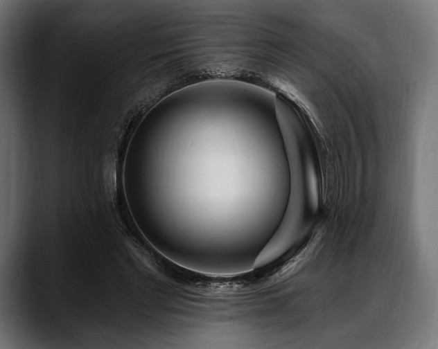 X0000088610493200705251224