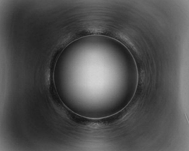 X0000088610494200705251224