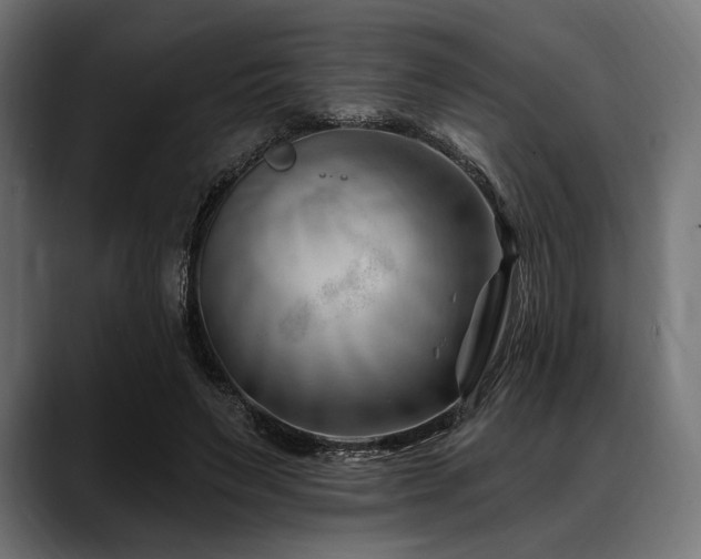 X0000088610495200705251224