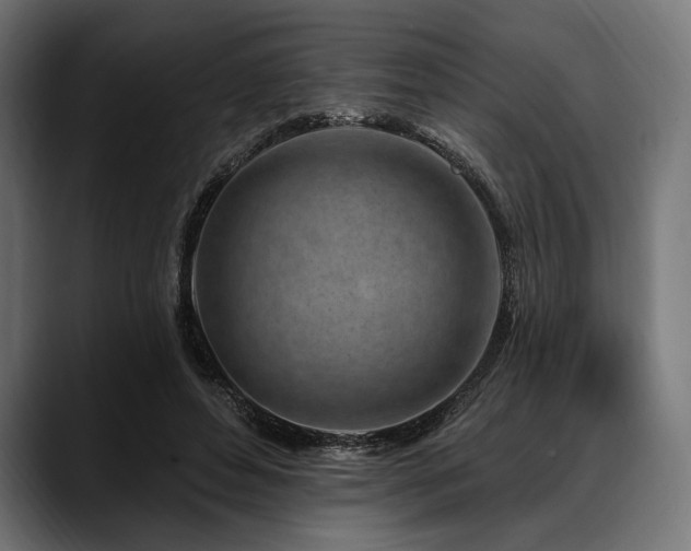 X0000088610496200705251224