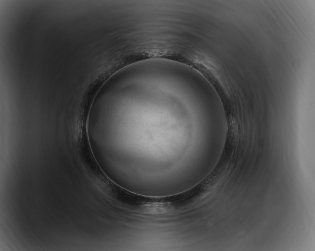 X0000088610499200705251223