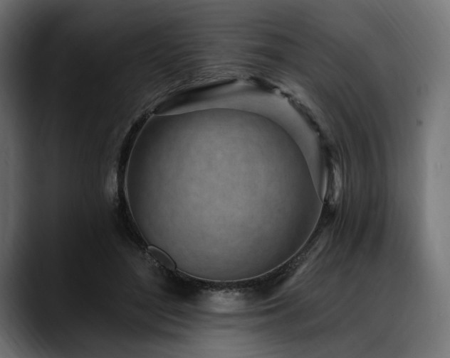 X0000088610500200705251223