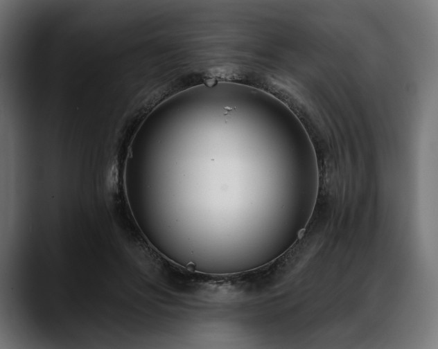 X0000088610502200705251223