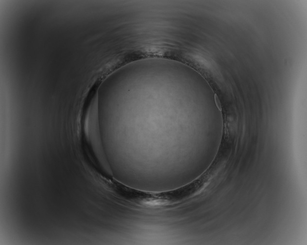 X0000088610504200705251223