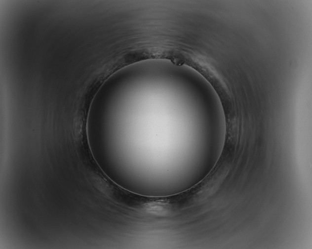 X0000088610505200705251223