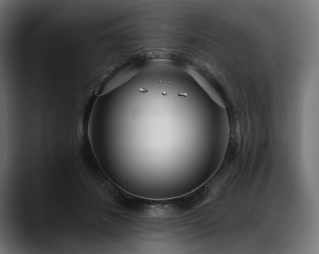 X0000088610508200705251223