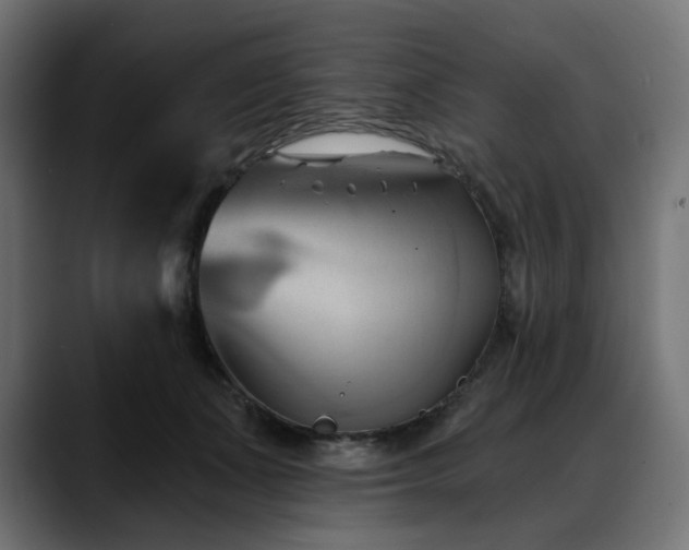 X0000088610511200705251223