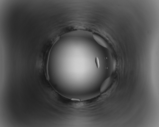 X0000088610513200705251223