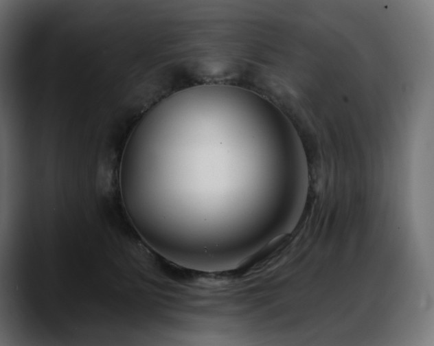 X0000088610515200705251223