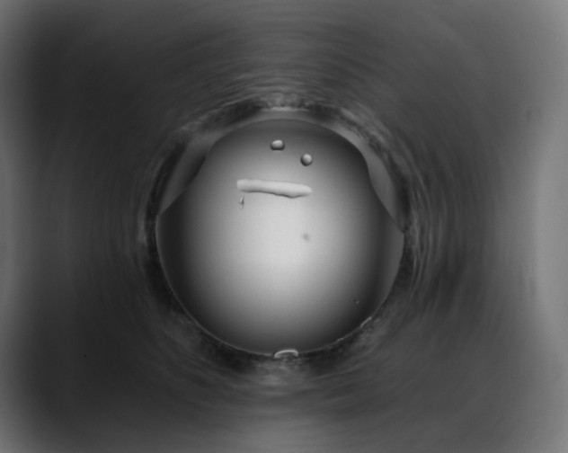 X0000088610516200705251223