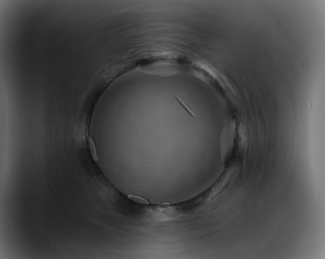 X0000088610517200705251223