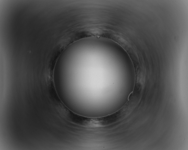 X0000088610518200705251223