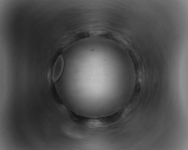 X0000088610519200705251223