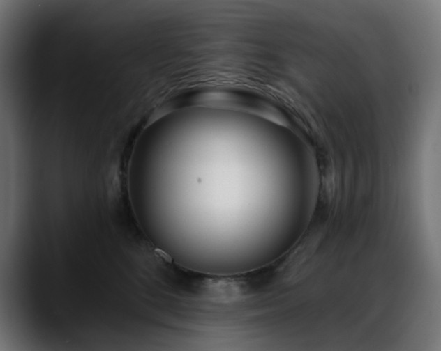 X0000088610520200705251223