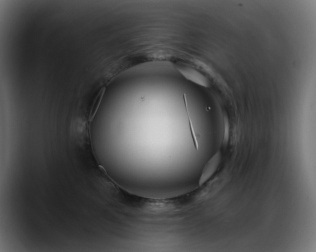 X0000088610521200705251223