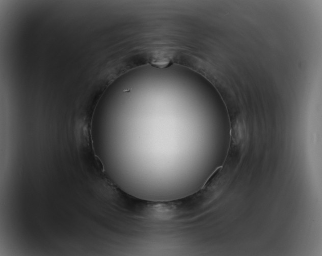 X0000088610522200705251223