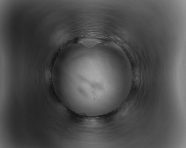 X0000088610523200705251223