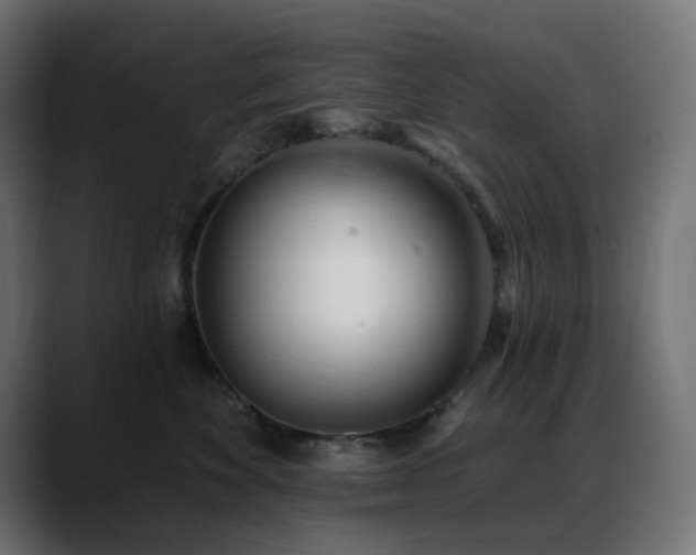 X0000088610524200705251223