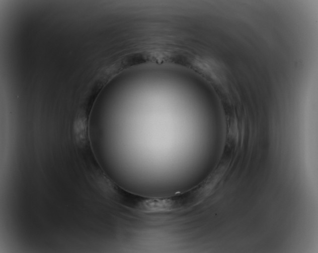 X0000088610526200705251223